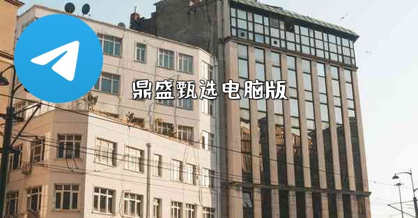 鼎盛甄选电脑版