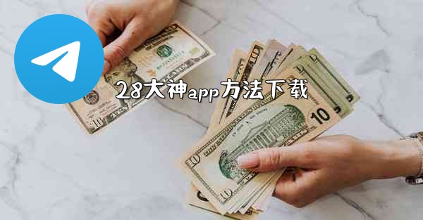 28大神app方法下载