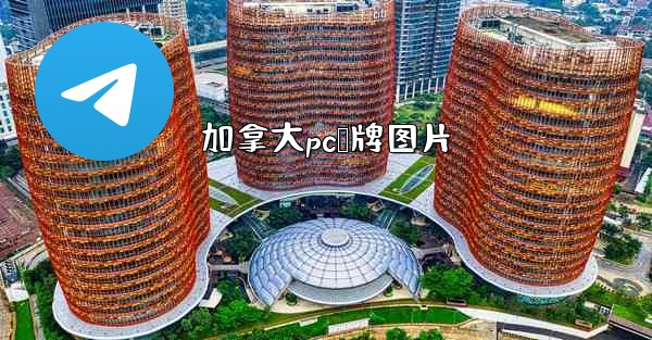 加拿大pc眯牌图片