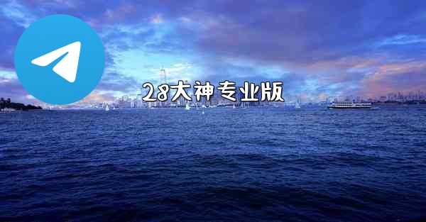 28大神专业版
