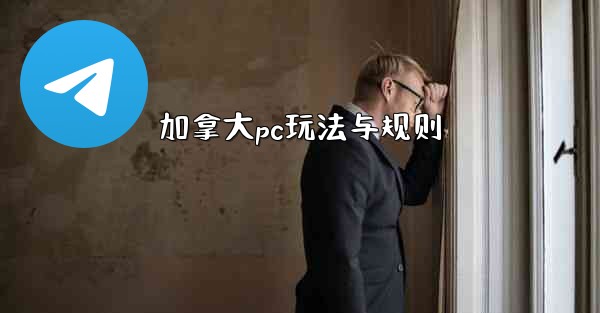 加拿大pc玩法与规则