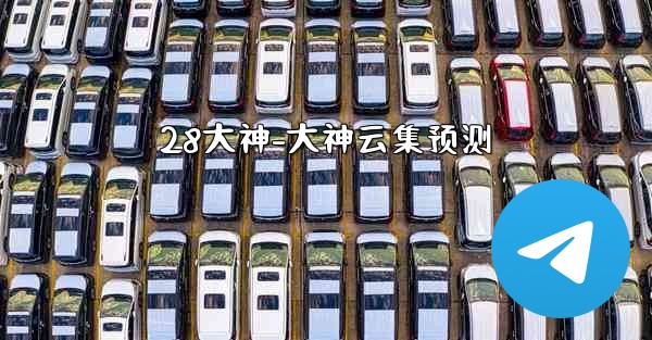 28大神-大神云集预测