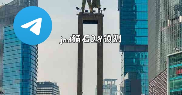 jnd猫石28预测