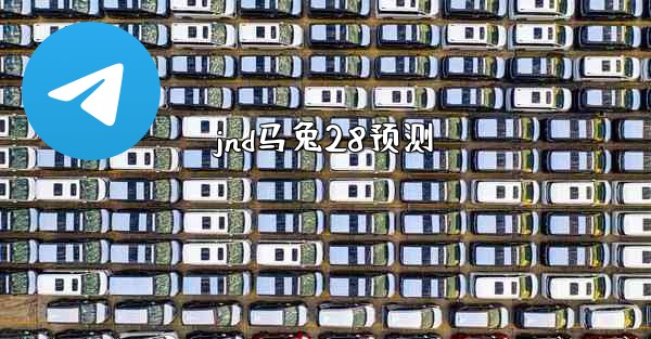 jnd马兔28预测