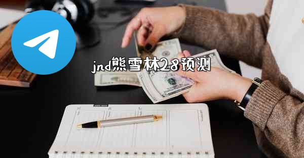 jnd熊雪林28预测