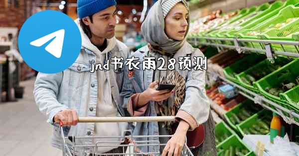 jnd书衣雨28预测