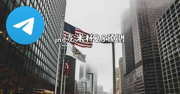 jnd龙米杯28预测