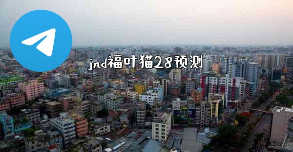 jnd福叶猫28预测