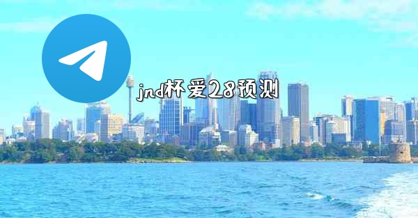 jnd杯爱28预测
