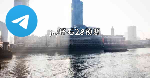 jnd杯石28预测