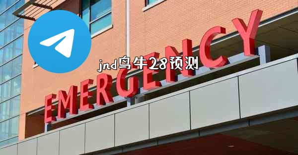 jnd鸟牛28预测