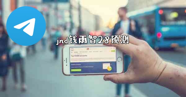 jnd钱雨智28预测