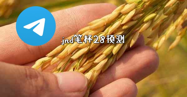 jnd笔杯28预测