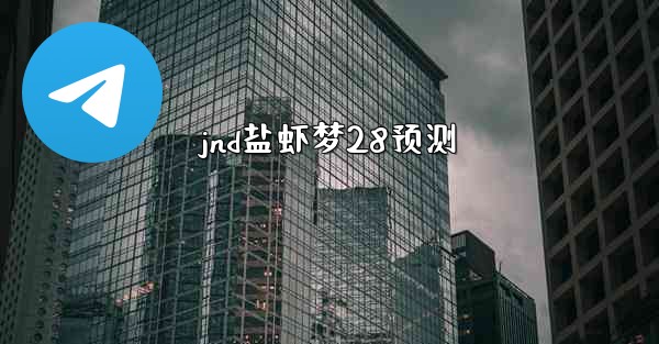 jnd盐虾梦28预测