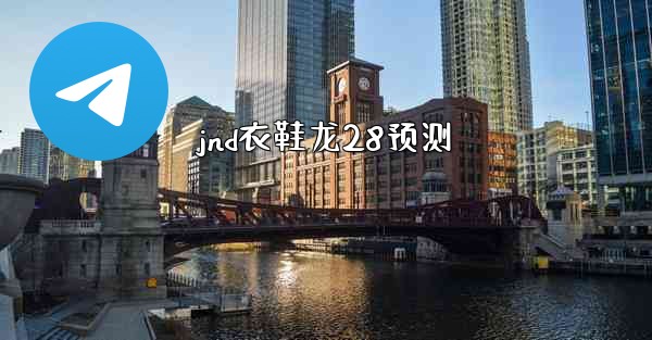 jnd衣鞋龙28预测