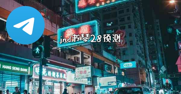 jnd书琴28预测