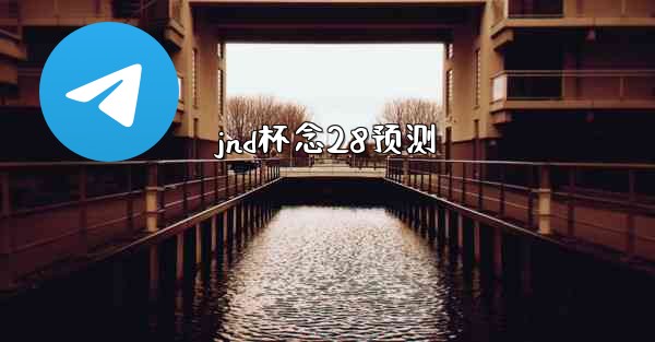 jnd杯念28预测