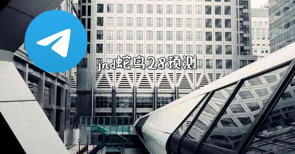 jnd蛇鸟28预测