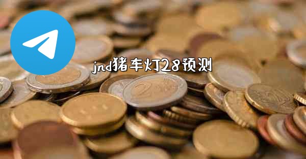 jnd猪车灯28预测