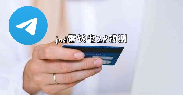 jnd雷钱电28预测