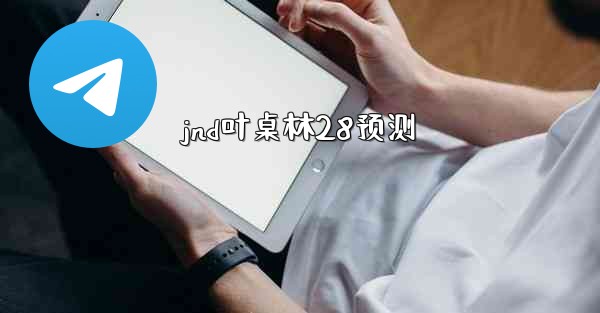 jnd叶桌林28预测