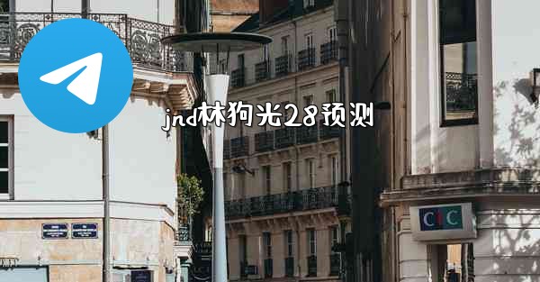 jnd林狗光28预测