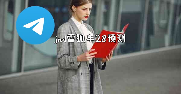 jnd雷狐车28预测