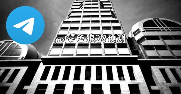 jnd琴色狼28预测