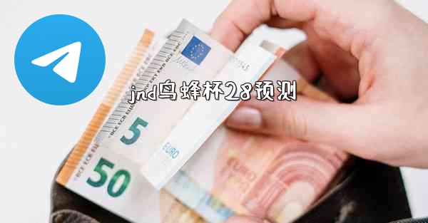 jnd鸟蜂杯28预测