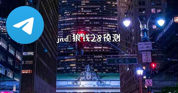 jnd鸭狼钱28预测