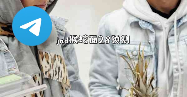 jnd猴蛇面28预测