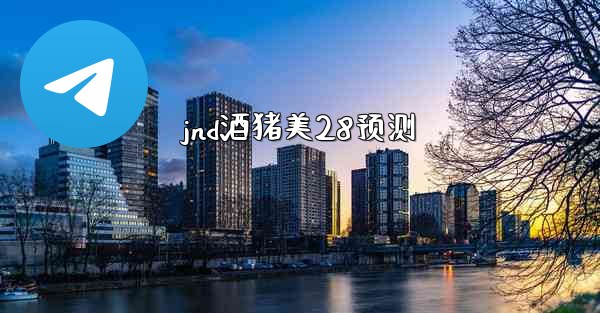 jnd酒猪美28预测