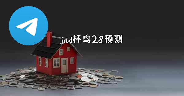 jnd杯鸟28预测