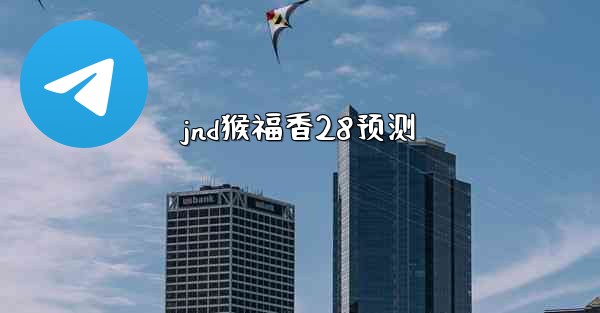 jnd猴福香28预测