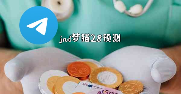 jnd梦猫28预测