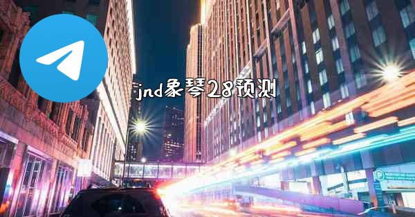 jnd象琴28预测