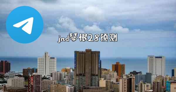 jnd琴恨28预测