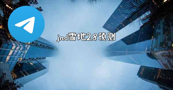 jnd雪地28预测