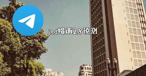 jnd帽雨28预测
