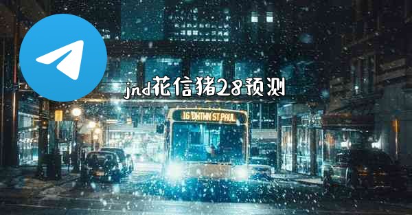 jnd花信猪28预测