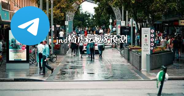 jnd椅虎云28预测