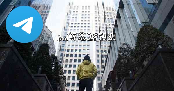jnd鲸念28预测