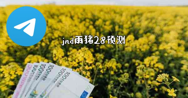 jnd雨猪28预测