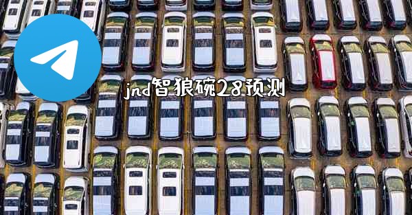 jnd智狼碗28预测