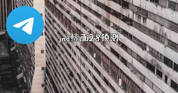 jnd鲸画28预测