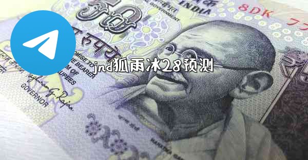 jnd狐雨冰28预测