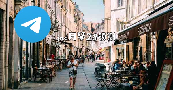 jnd月琴28预测