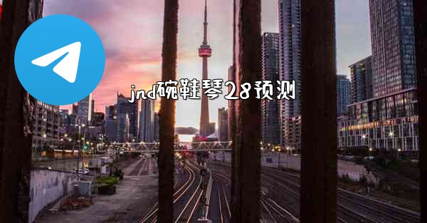 jnd碗鞋琴28预测