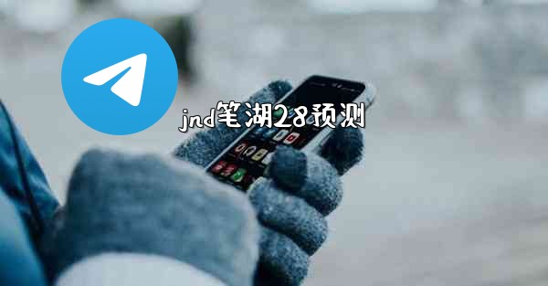 jnd笔湖28预测