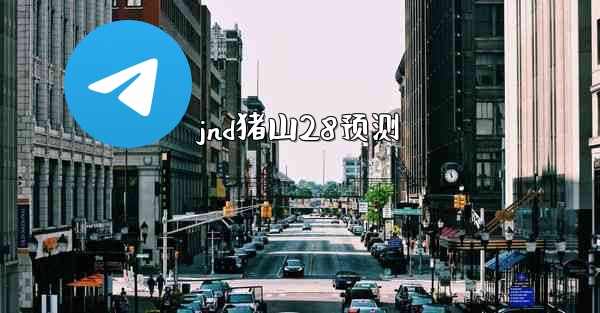 jnd猪山28预测